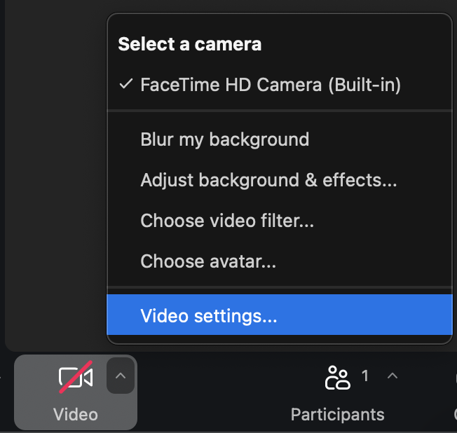 Using Attendee Controls in a Zoom Meeting