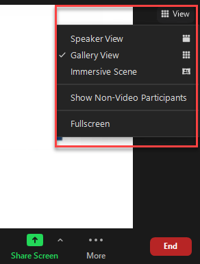 Using Immersive View in Zoom